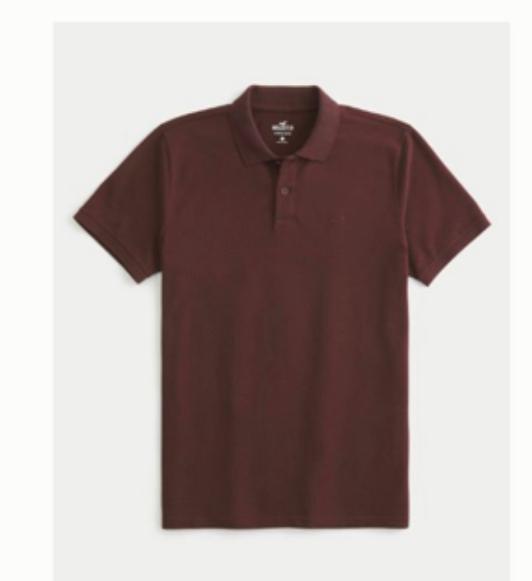 HOLLISTER MAN'S POLO SHIRTS